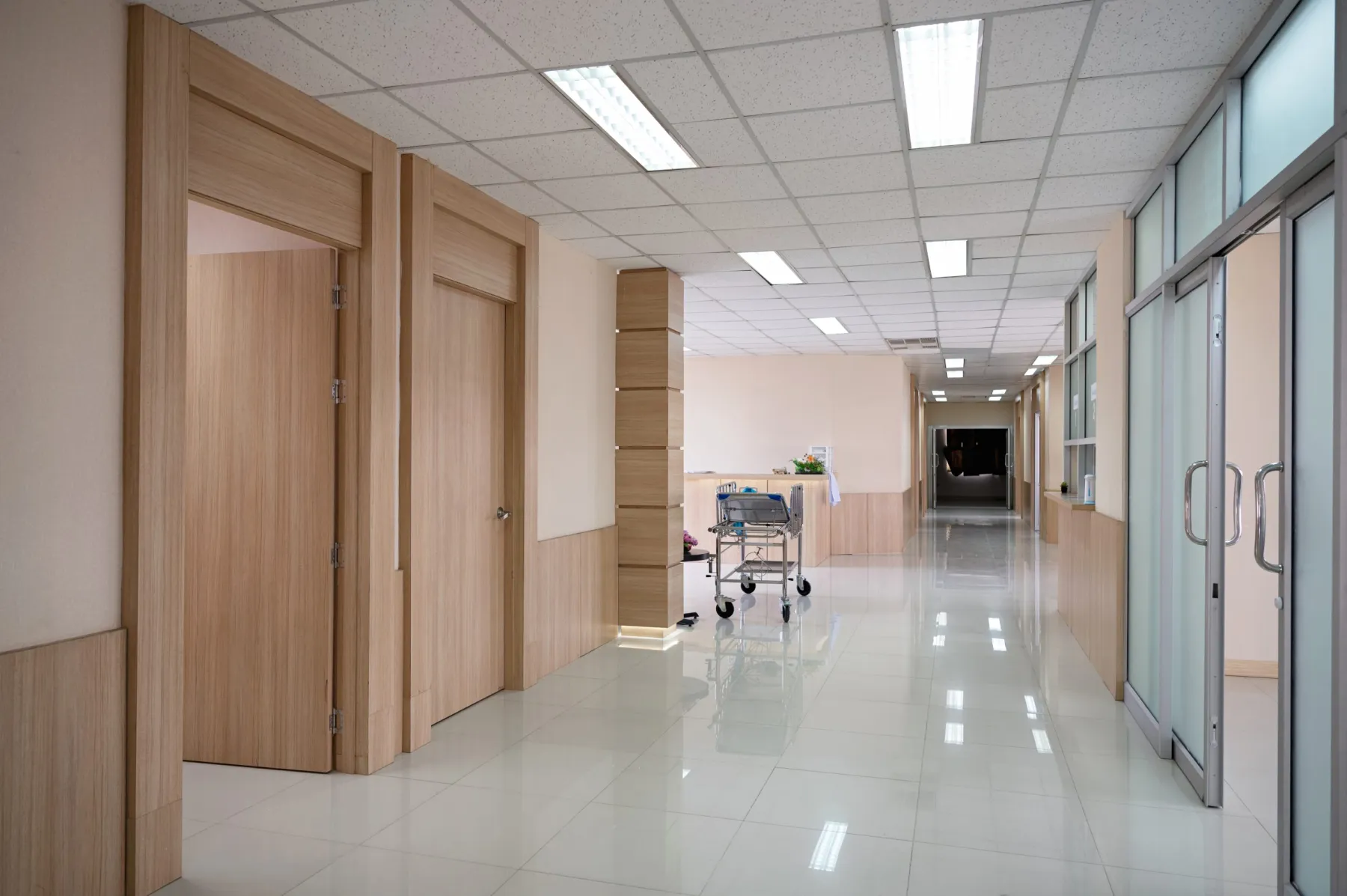 Office lighting and acoustic panels in Dubai
